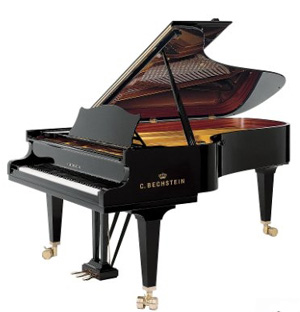 BECHSTEIN PIANO COVERS & Baby Grand Piano Covers ~ Custom Covers 